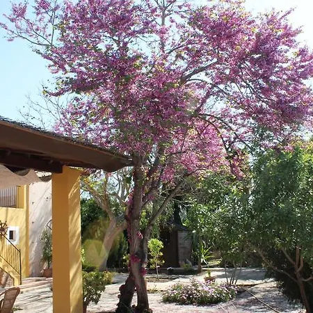 Son Estrany Farm stay